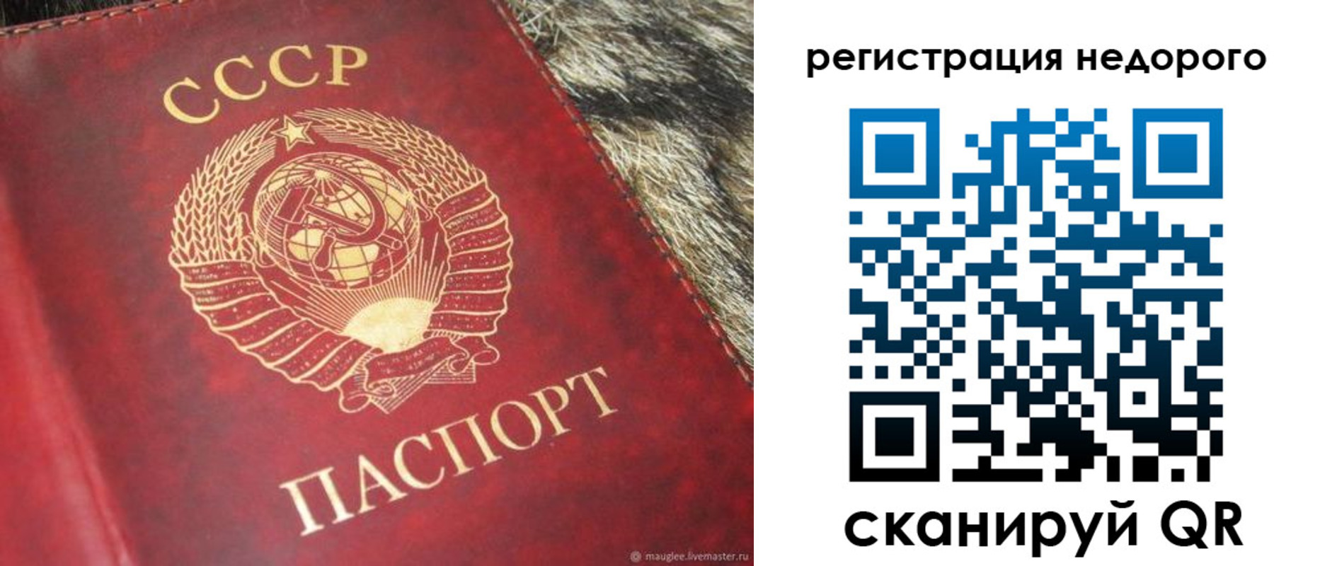 прописка ребенка в Зернограде